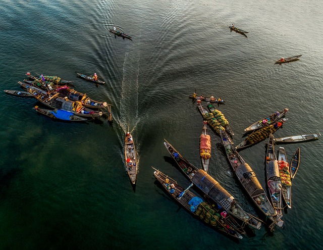 Vietnamese Translation Services